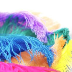 Plumas naturales teñidas en varios colores para trajes de danza