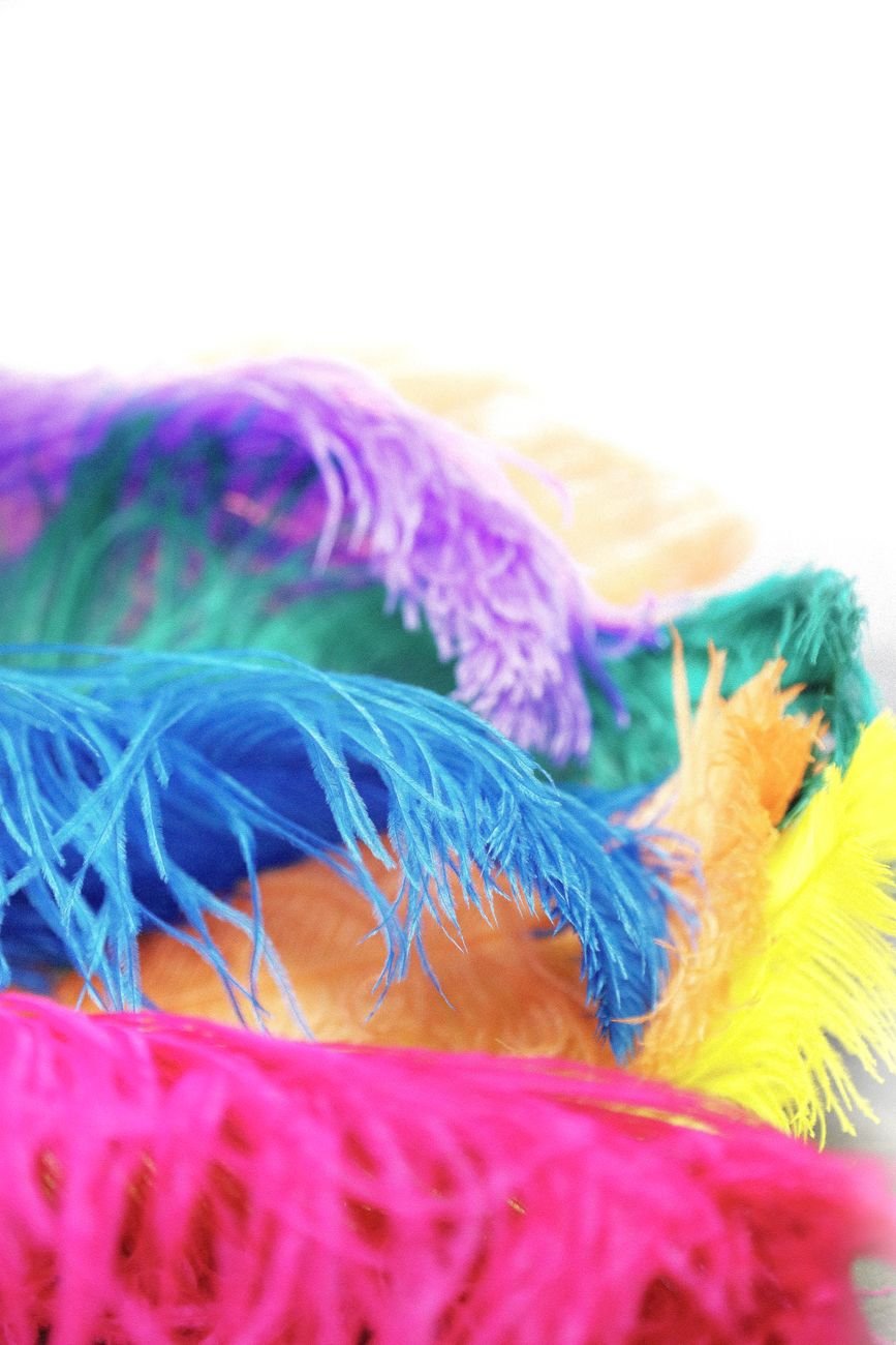 Plumas naturales teñidas en varios colores para trajes de danza